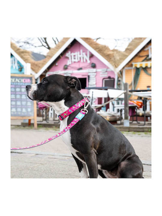 Max & Molly Dog Bandana Small / XSmall