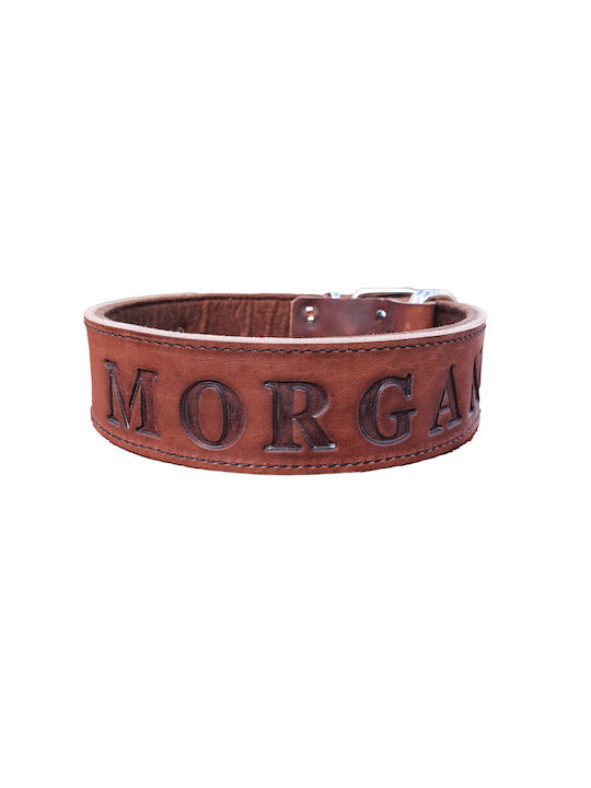 ByLeather Hundehalsband Leder in Braun Farbe Klein 70cm