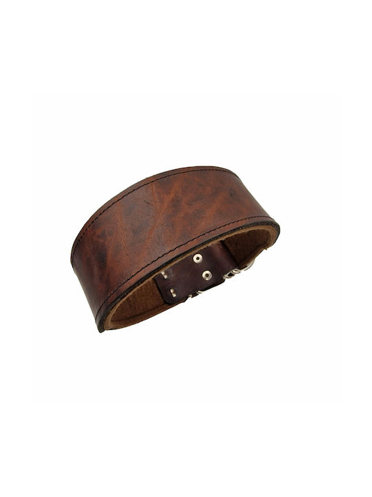 ByLeather Hundehalsband Leder in Braun Farbe Klein 60cm