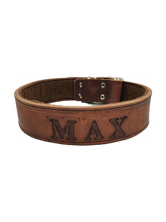 ByLeather Hundehalsband Leder in Braun Farbe Klein 70cm