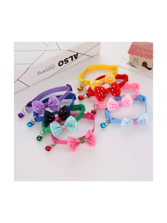 Hundehalsband in Lila Farbe 10mm