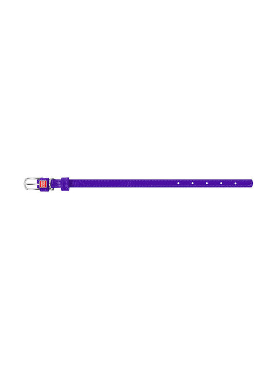 Collar Dog Collar Purple