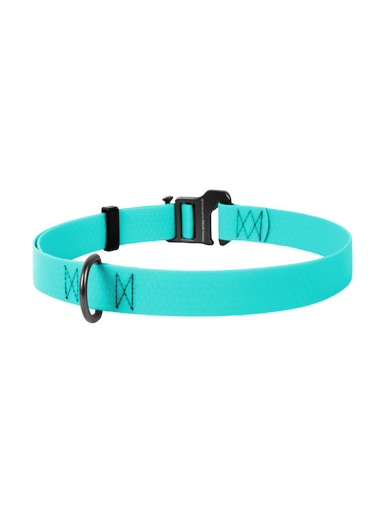 Collar Dog Collar 70cm Turquoise