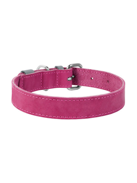 Collar Hundehalsband Leder in Rosa Farbe