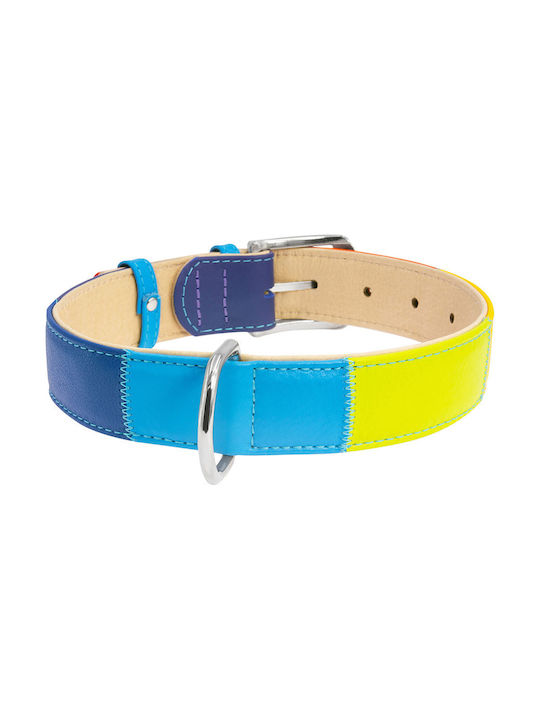 Collar Hundehalsband Leder