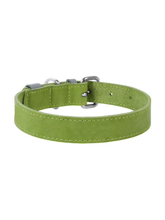 Collar Dog Collar 20mm Green