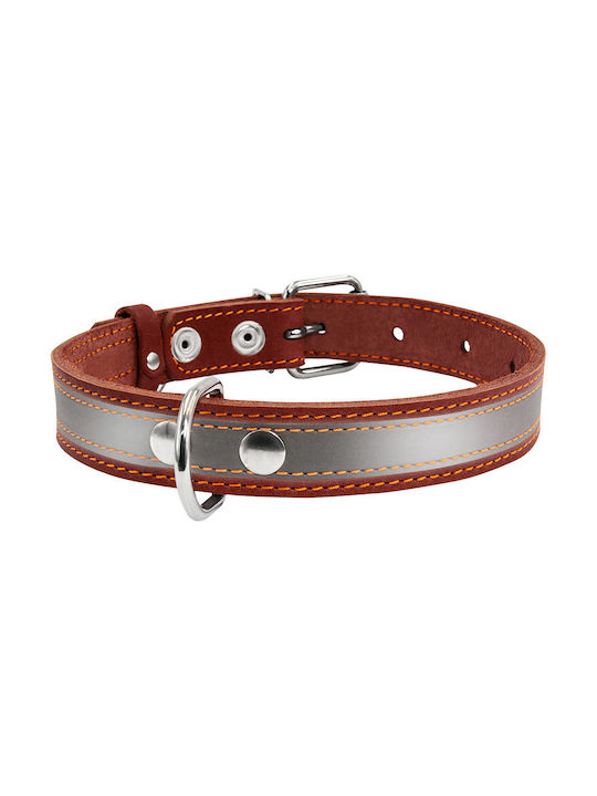 Collar Dog Collar Brown