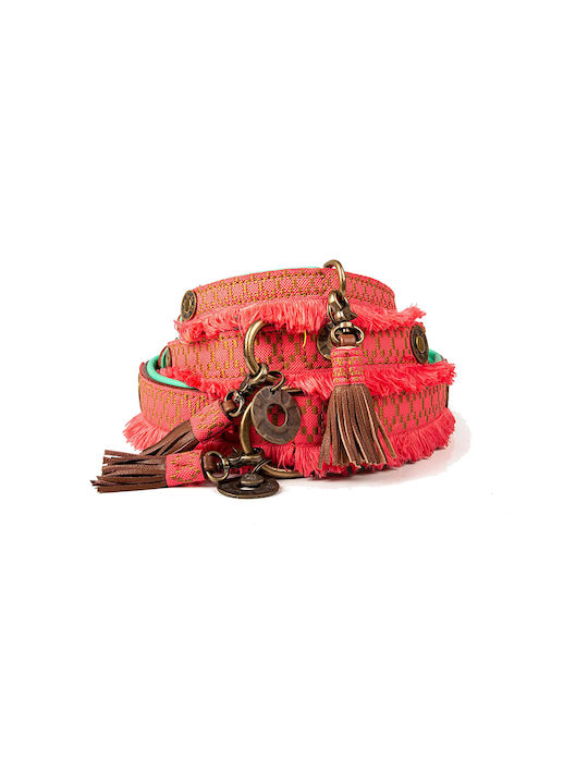 DWAM Dog Collar in Orange color