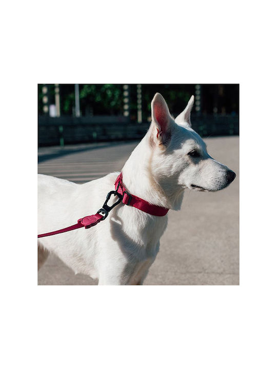 Zee Dog Ошийник в Червен Цвят