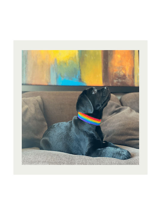 Unicord Dog Collar