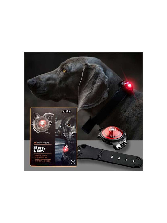 orbiloc Dog Collar Illuminated Pink
