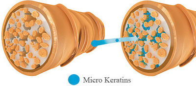 Schwarzkopf Bc Fibre Force Fortifying Шампоан Реконструкция/Хидратация за Крехък коса 1x1000мл