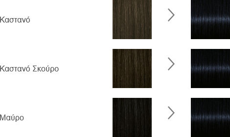 Syoss Permanent Coloration Βαφή Μαλλιών 1-4 Μαύρο Μπλε 115ml