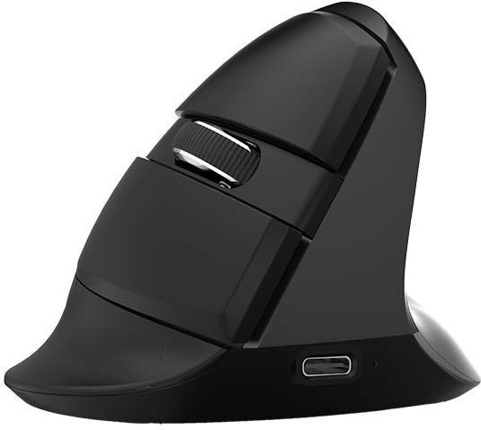Delux M618Mini Wireless Ergonomic Bluetooth Vertical Mouse Iron Grey