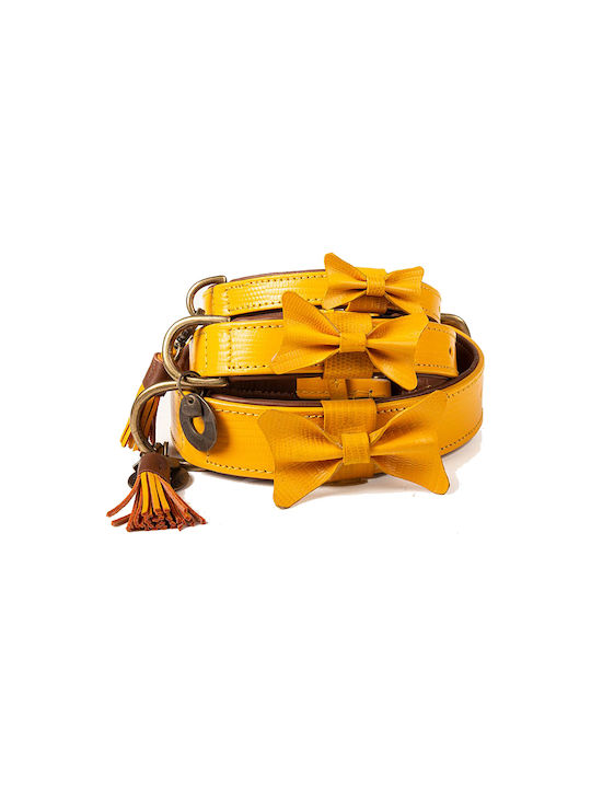 DWAM Dog Collar in Yellow color 24-039