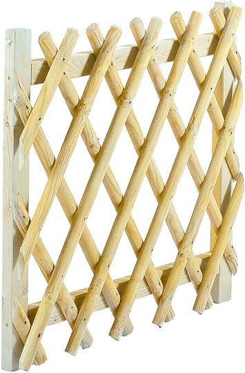 Showood Ξύλινη Πόρτα Φράχτη σε Μπεζ Χρώμα 80cm x 1m