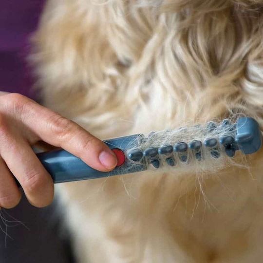 Electric Comb for Misc Hair Lengths for Coat Grooming