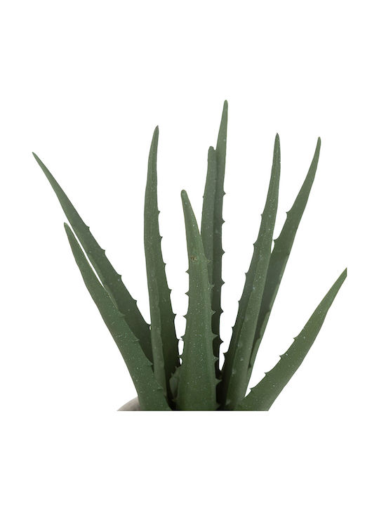 Aloe Aloe in Ecru Pot 29cm Atmosphera