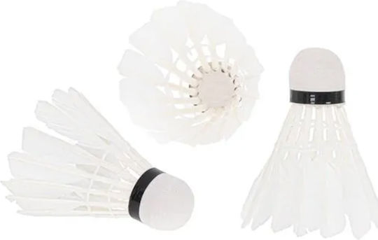 Aripă Badminton / Dovleac