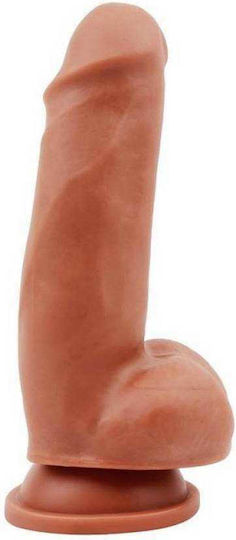 Chisa Novelties Lecher Dildo Realistic Dildo with Scrotum & Suction Cup Latin 18cm