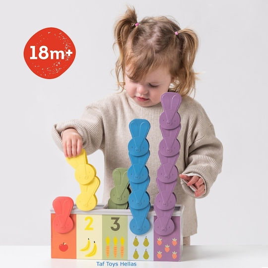 Taf Toys Shape Sorting Toy Match & Count Bunny made of Wood with Light and Sounds for 18++ Months