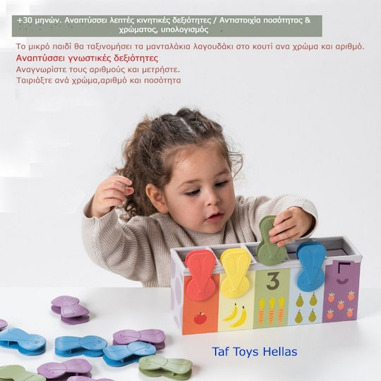 Taf Toys Shape Sorting Toy Match & Count Bunny made of Wood with Light and Sounds for 18++ Months