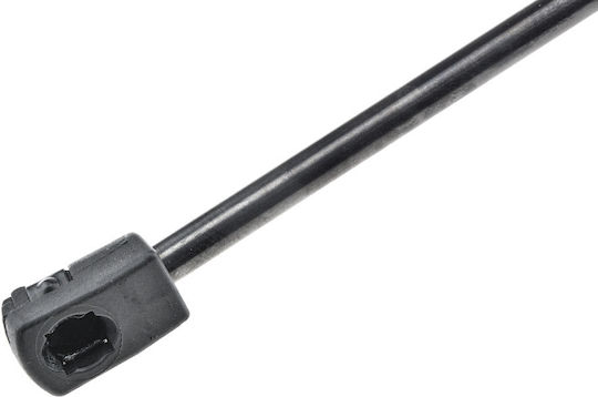 NTY Trunk Shock