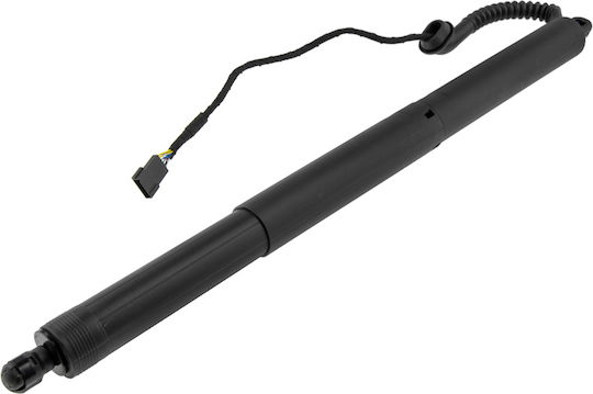 Trunk Shock for BMW X5