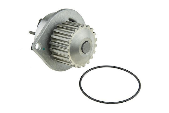NTY Car Water Pump for Peugeot 106 / 205 / 206 / 306 / 307 / 308 / 405 / Partner Citroen AX / BX / C15 / Saxo / Xsara / Xsara Picasso / ZX Nissan Micra