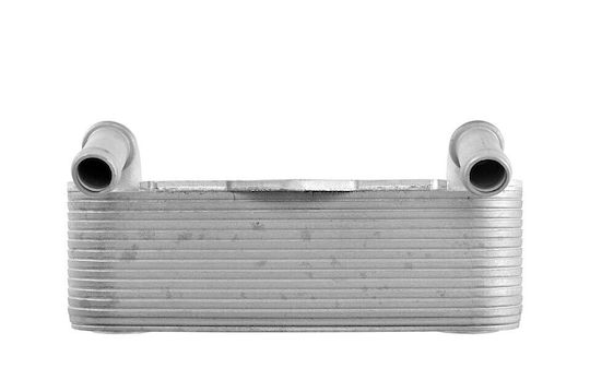 NTY Car Oil Radiator for Opel Astra / Vectra / Zafira / Signum / Sintra Chevrolet G