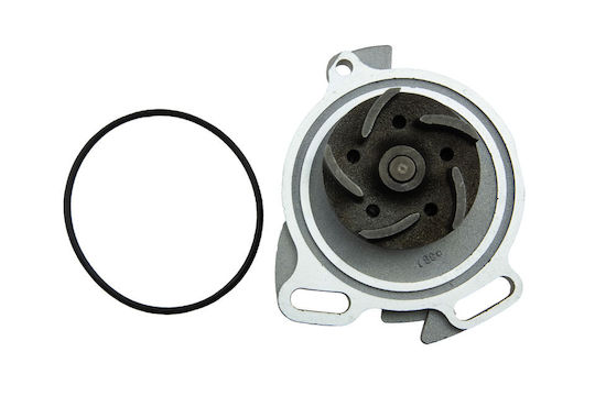 NTY Αντλία Νερού Αυτοκινήτου για Seat Alhambra / Leon Volkswagen Golf / Bora / Corrado / Beetle (New) / Beetle / Passat / Sharan / Transporter / T4 / Vento Ford Galaxy