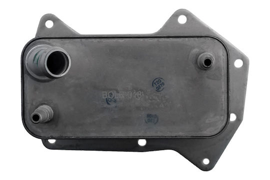 NTY Ψυγείο Λαδιού Αυτοκινήτου για Land Rover Range Rover / Range Rover Sport