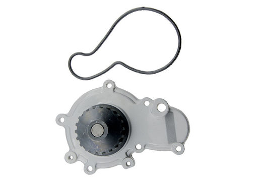 NTY Car Water Pump for Chrysler Neon / PT Cruiser / Sebring / Stratus / Voyager / Grand Voyager Lancia Voyager Dodge Neon / Stratus