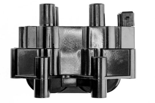 NTY Car Ignition Coil for Peugeot 106 / 205 / 306 / 309 / 405 / 406 / 605 / 806 / Boxer / Expert / Partner Fiat Ducato / Ulysse Citroen Berlingo / BX / Evasion / Jumper / Saxo / Xantia / XM / Xsara / ZX Lancia Zeta