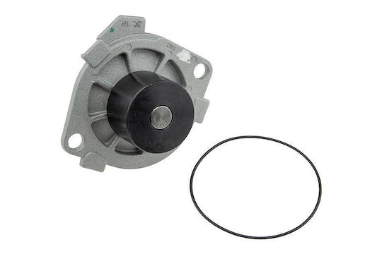 NTY Car Water Pump for Opel Astra / Signum / Vectra / Zafira Fiat Brava / Bravo / Croma / Doblo / Grande Punto / Idea / Marea / Multipla / Palio / Sedici / Punto / Stilo / Strada Suzuki SX4 Chrysler GTS Nissan PickUp Alfa Romeo Alfasud Saab 9-3 Lancia Kappa / Lybra / Thesis / Musa