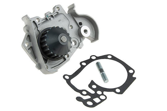 NTY Auto-Wasserpumpe für Renault Clio / Kangoo / Megane / Malerei / Thalia Nissan Abholung Dacia Logan / Logan MCV / Logan Abholung / Sandero