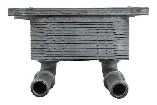 NTY Car Engine Oil Radiator for Mercedes-Benz V Renault Megane / Clio Nissan Qashqai / Micra Dacia Duster
