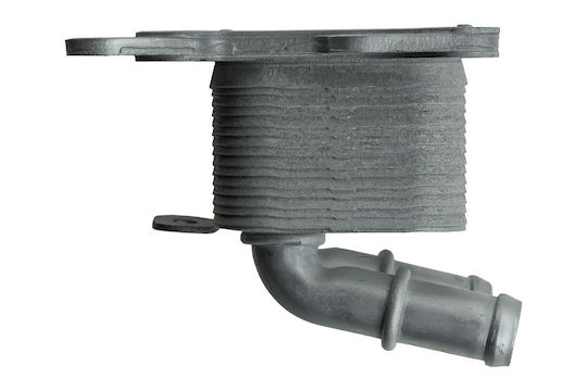 NTY Car Engine Oil Radiator for Mercedes-Benz V Renault Megane / Clio Nissan Qashqai / Micra Dacia Duster