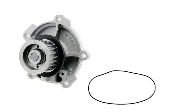 NTY Car Water Pump for Chrysler Grand Voyager / Voyager Jeep Cherokee / Wrangler Lancia Voyager Dodge Nitro