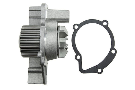 NTY Car Water Pump for Peugeot 205 / 306 / 309 / 405 / 406 / 806 / Expert / Partner Fiat 126 / Cinquecento / Ulysse Citroen Berlingo / BX / Evasion / Xantia / Xsara / ZX