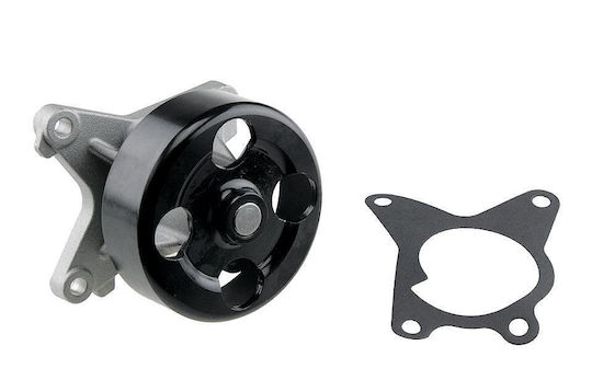 NTY Car Water Pump for Renault Clio / Fluence / Grand Scenic / Laguna / Latitude / Megane / Scenic Nissan Qashqai / Tiida / X-Trail