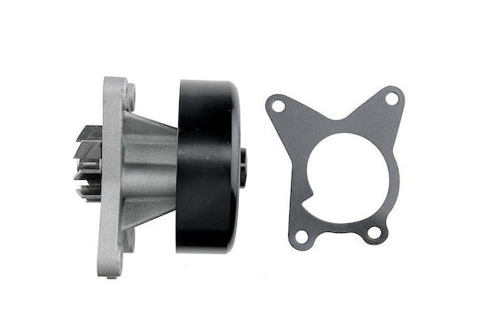 NTY Car Water Pump for Renault Clio / Fluence / Grand Scenic / Laguna / Latitude / Megane / Scenic Nissan Qashqai / Tiida / X-Trail