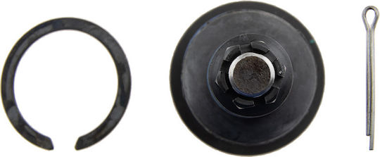 NTY Kugelgelenke für Toyota Hilux / Fortuner / Tacoma ZSG-TY-009