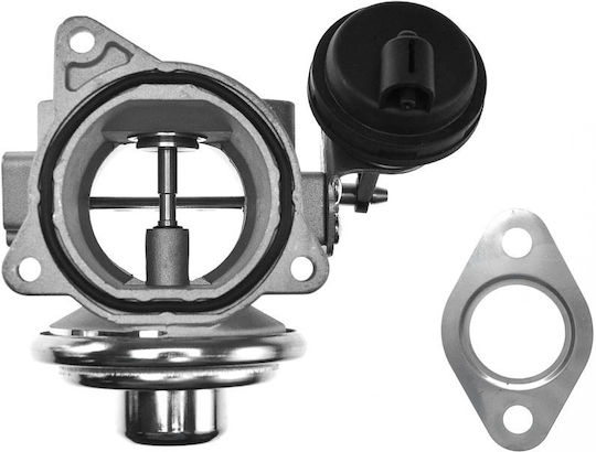 NTY Car EGR valve για Seat Alhambra Skoda Superb Volkswagen Transporter / T5 / Passat / Sharan Audi A4 / A6 Ford Galaxy