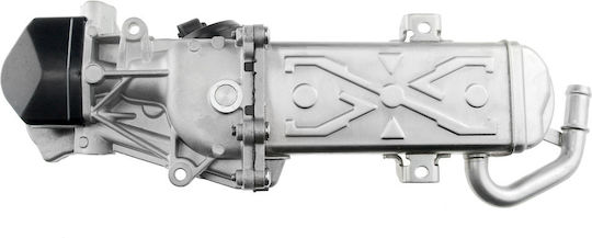 NTY Вентил EGR Кола за Seat Altea / Leon Skoda Octavia / Superb / Yeti Volkswagen Beetle / Caddy / Eos / Golf Plus / Golf / Jetta / Passat / Passat CC / Scirocco / Sharan / Tiguan / Touran Audi A3 / Q3 / TT