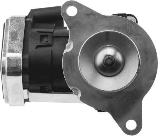 NTY AGR-Ventil Auto Engine Ventile