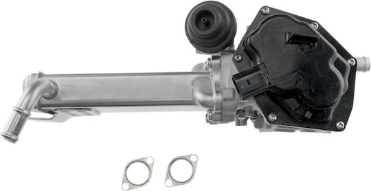 NTY Вентил EGR Кола за Volkswagen Amarok