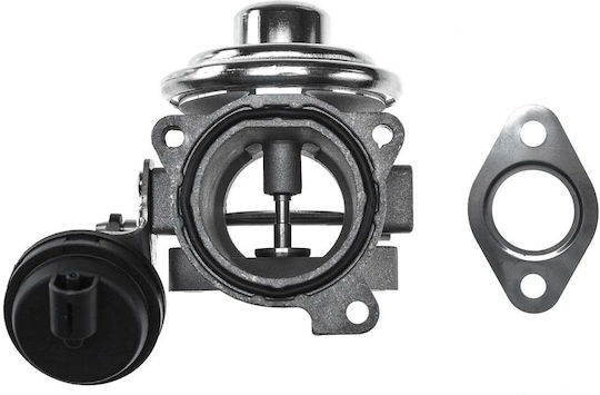 NTY Car EGR valve για Seat Alhambra Skoda Superb Volkswagen Passat / Sharan Audi A4 / A6 Ford Galaxy