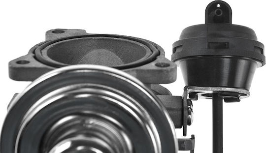 NTY Car EGR valve για Seat Alhambra Skoda Superb Volkswagen Passat / Sharan Audi A4 / A6 Ford Galaxy
