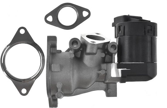 NTY Вентил EGR Кола за Peugeot 307 / 308 / 407 / 508 / 607 / 807 / Expert / Expert Tepee Fiat Scudo / Ulysse Citroen C4 / C4 Grand Picasso / C4 Picasso / C5 / C8 / Jumpy Volvo C30 / C70 / S40 / S80 / V50 / V70 Ford C-Max / Focus C-Max / Focus / Galaxy / Kuga / Mondeo / S-Max Alfa Romeo Mito Lancia Phedra